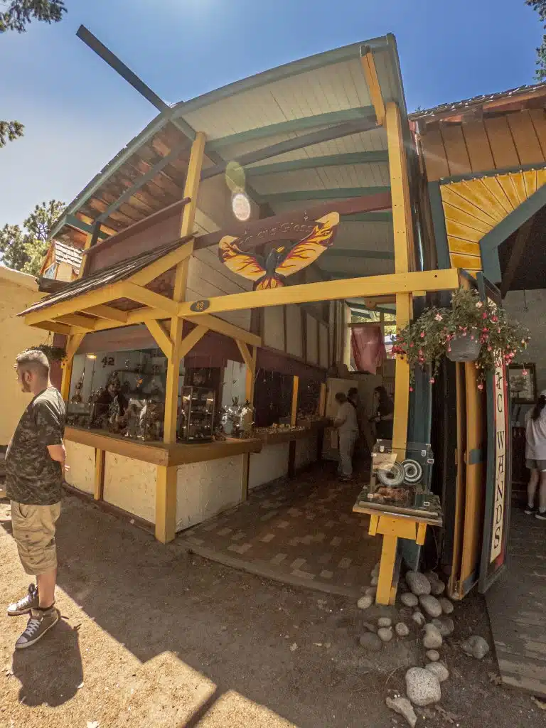 ravens-glass-42-768x1024