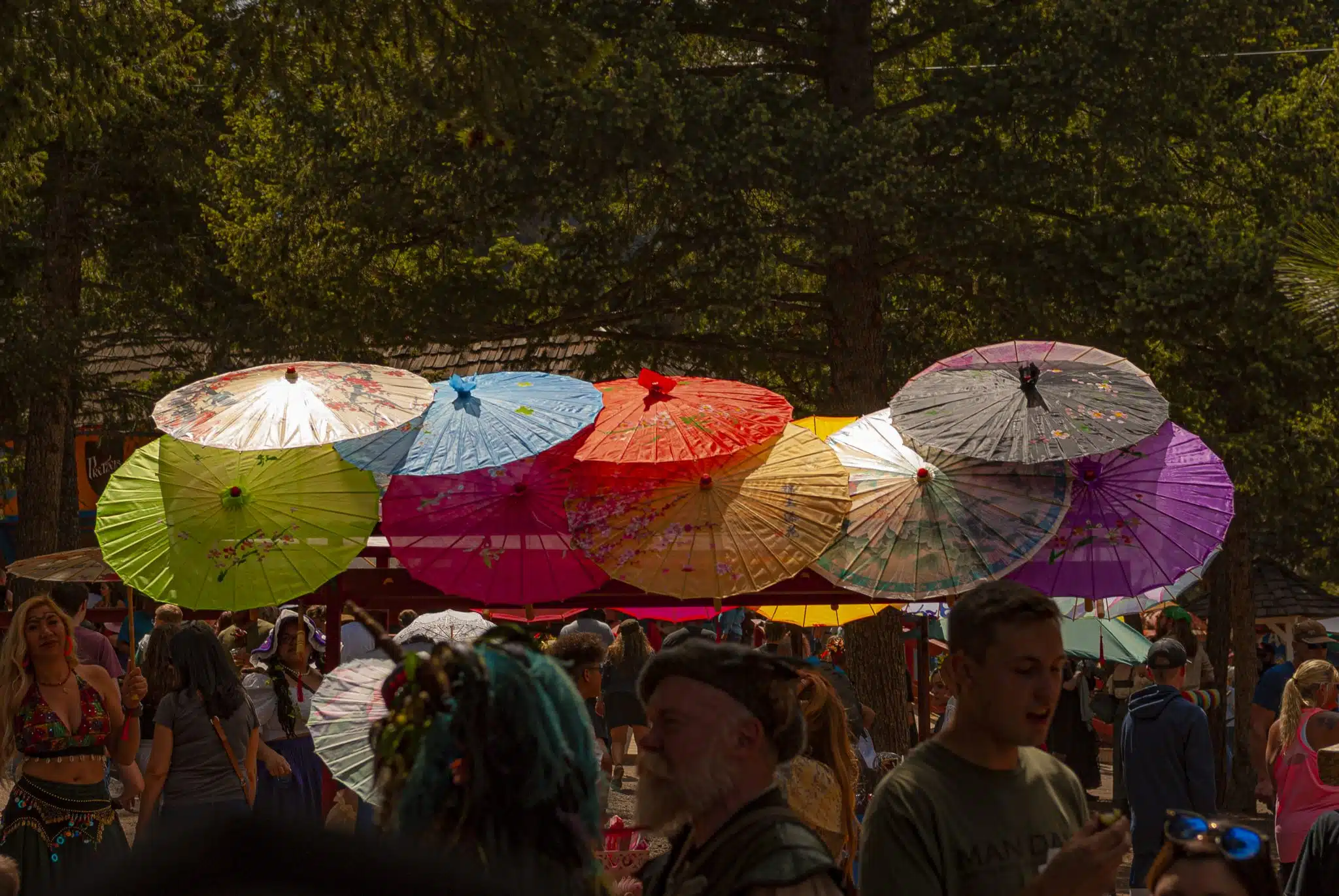 parasols-517-2048x1371